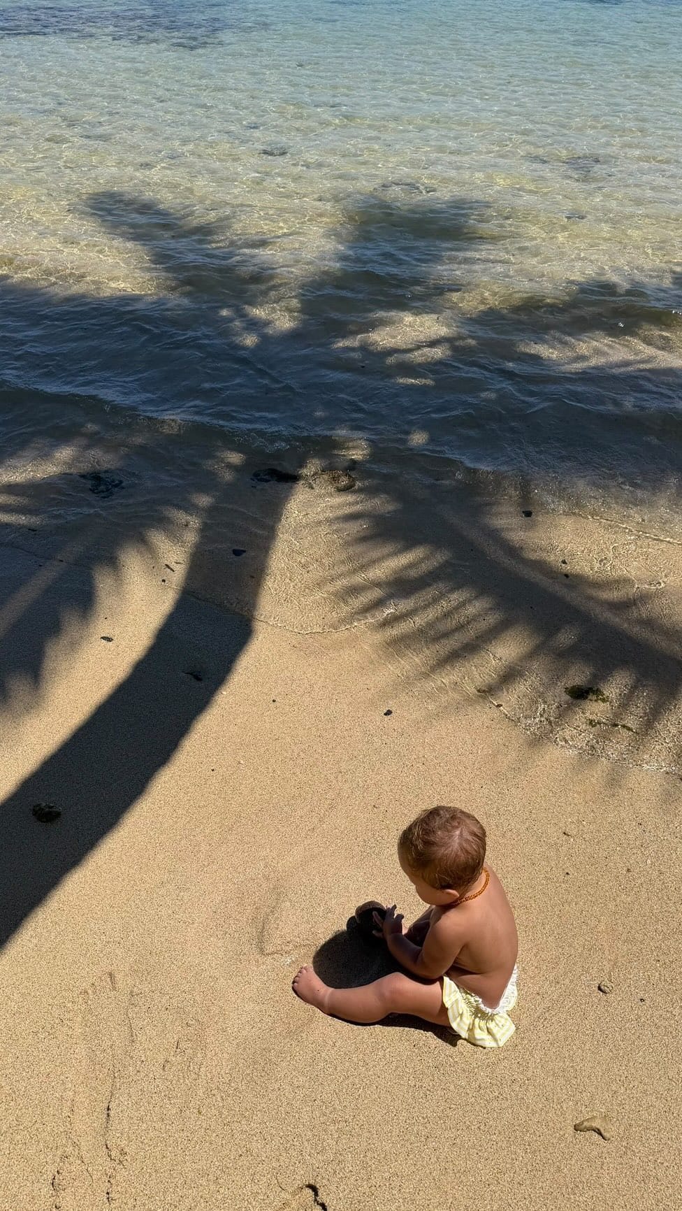 Post 4 by IVVY BURBAGE on Instagram (video)