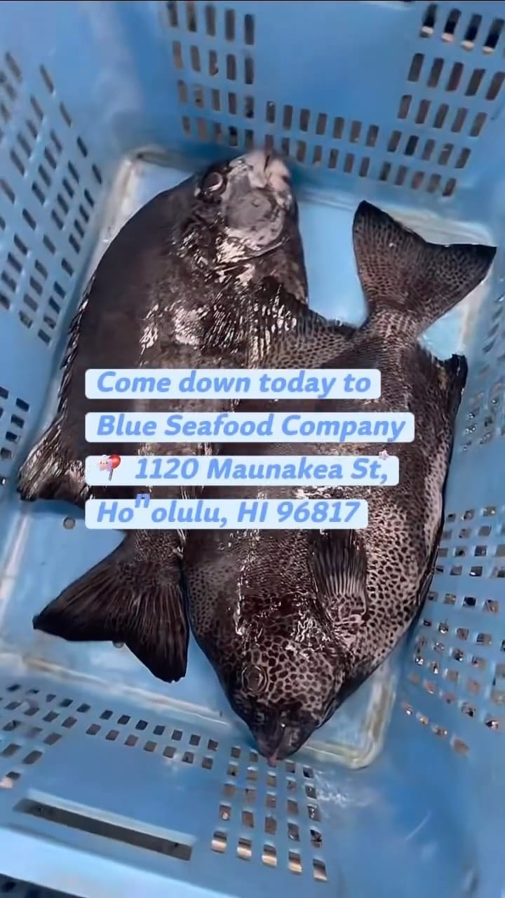 Post 4 by HAWAII SEAFOOD MARKET on Instagram (video)