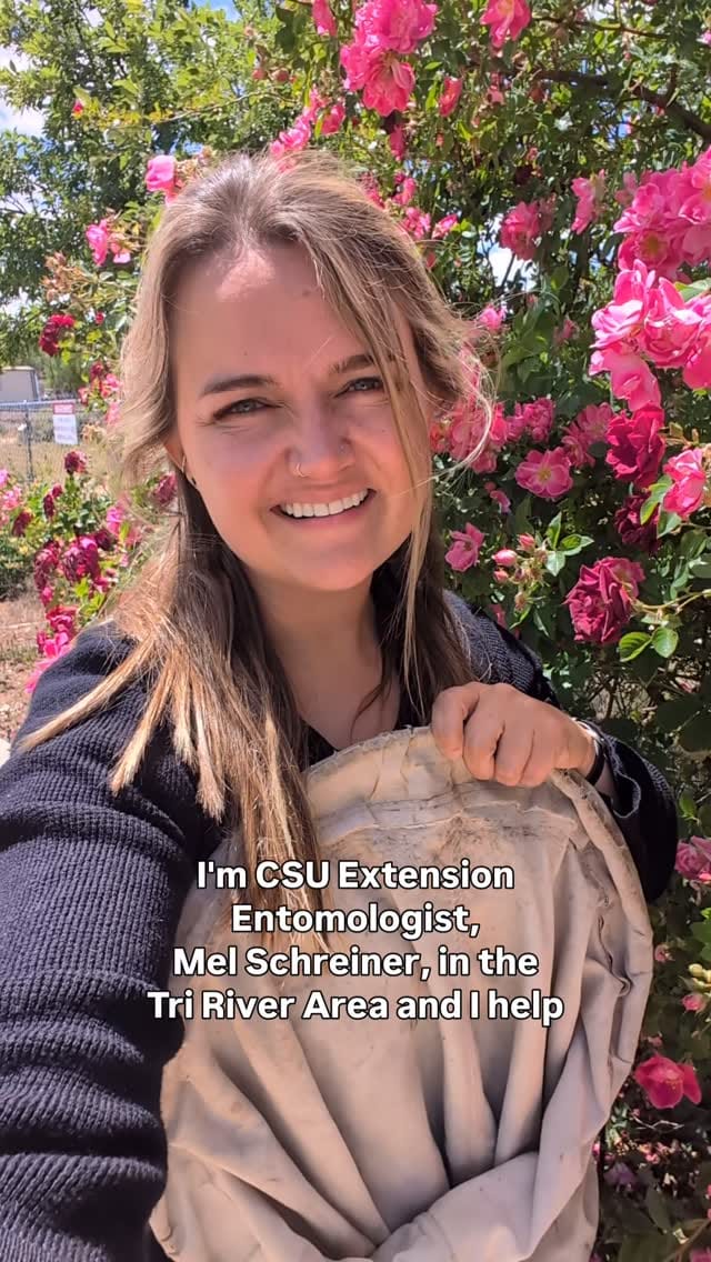 Post 5 by CSU Extension on Instagram (video)