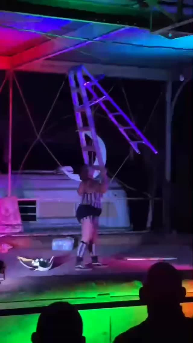 Post 9 by Sarah Abear (Jiggles 🤡) on Instagram (video)