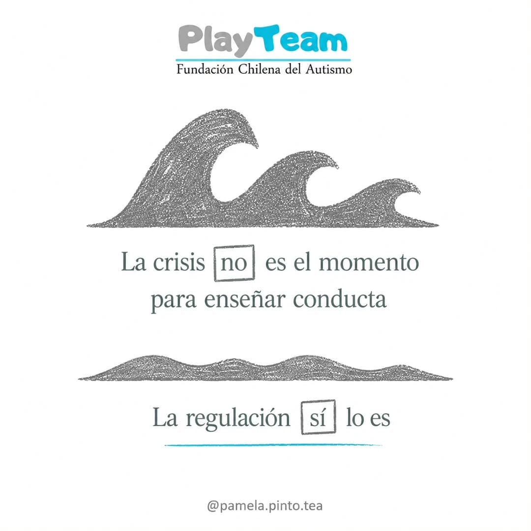 Post 5 by Pamela Pinto Fonoaudióloga on Instagram (image)