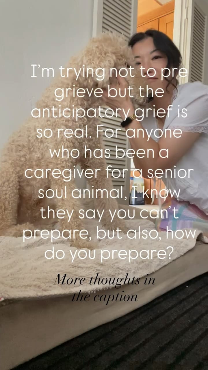 Post 6 by Natural Medicine Expert on Instagram (video)