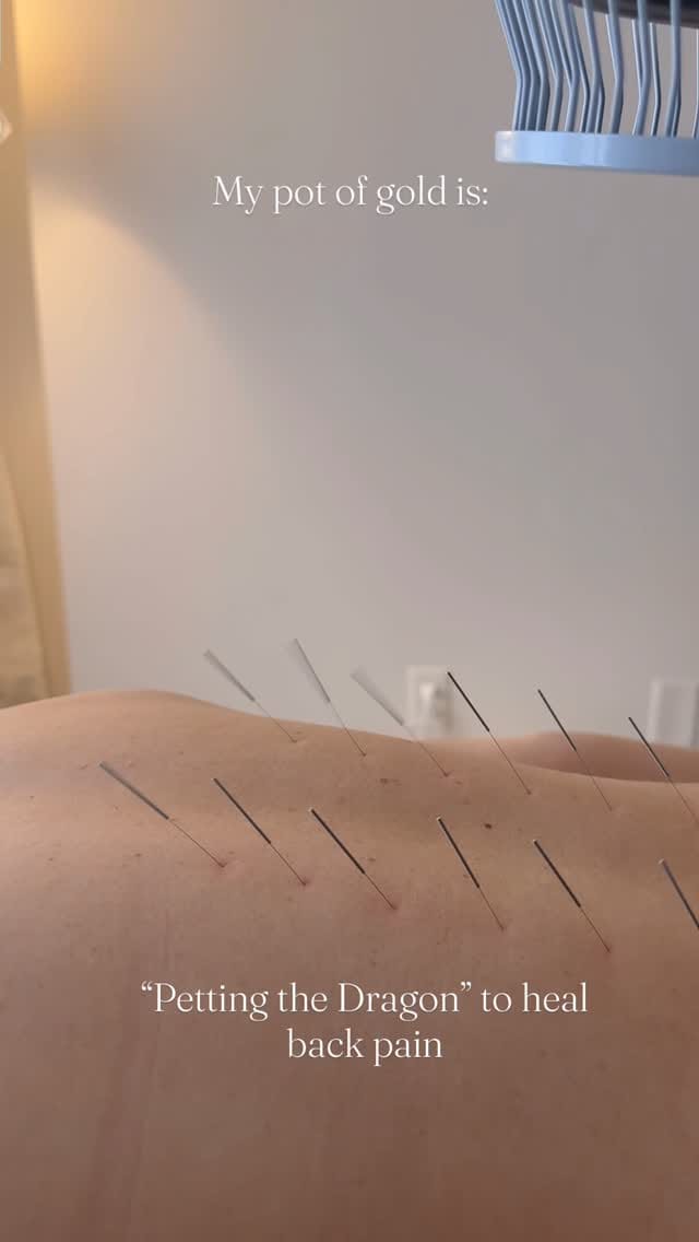 Post 1 by Dr. Paige Bourassa on Instagram (video)