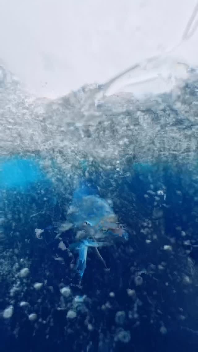 Post 6 by Kurt Tillman on Instagram (video)