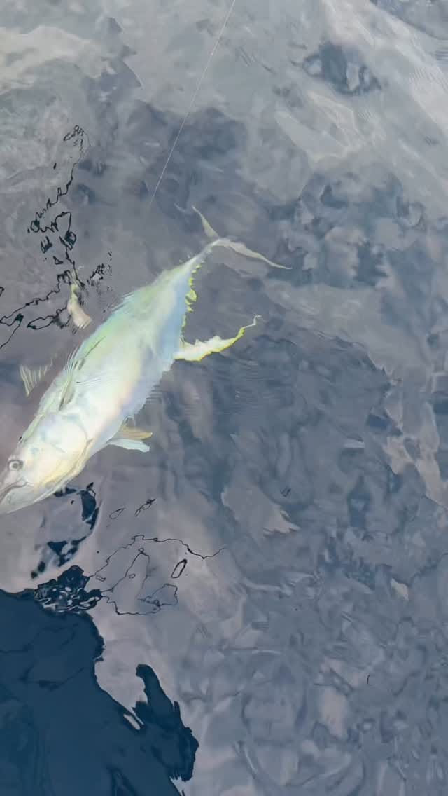 Post 8 by Kurt Tillman on Instagram (video)