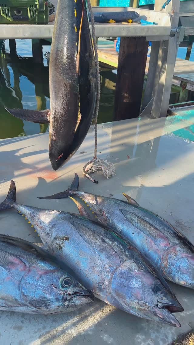 Post 5 by Kurt Tillman on Instagram (video)