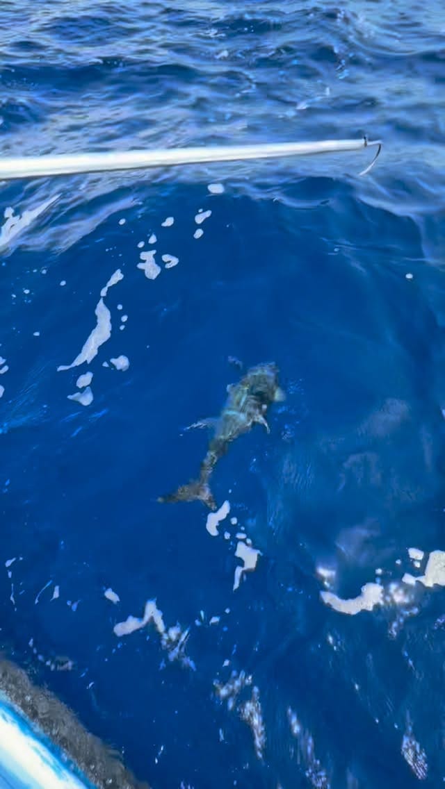 Post 7 by Kurt Tillman on Instagram (video)