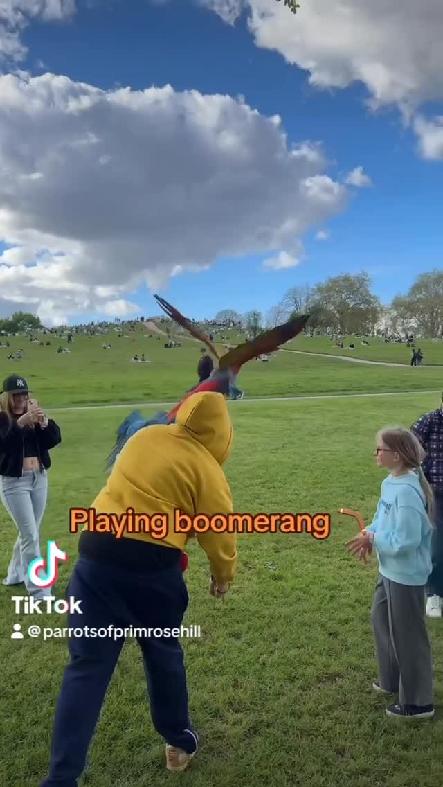 Post 5 by Sonic & Phoenix on Instagram (video)