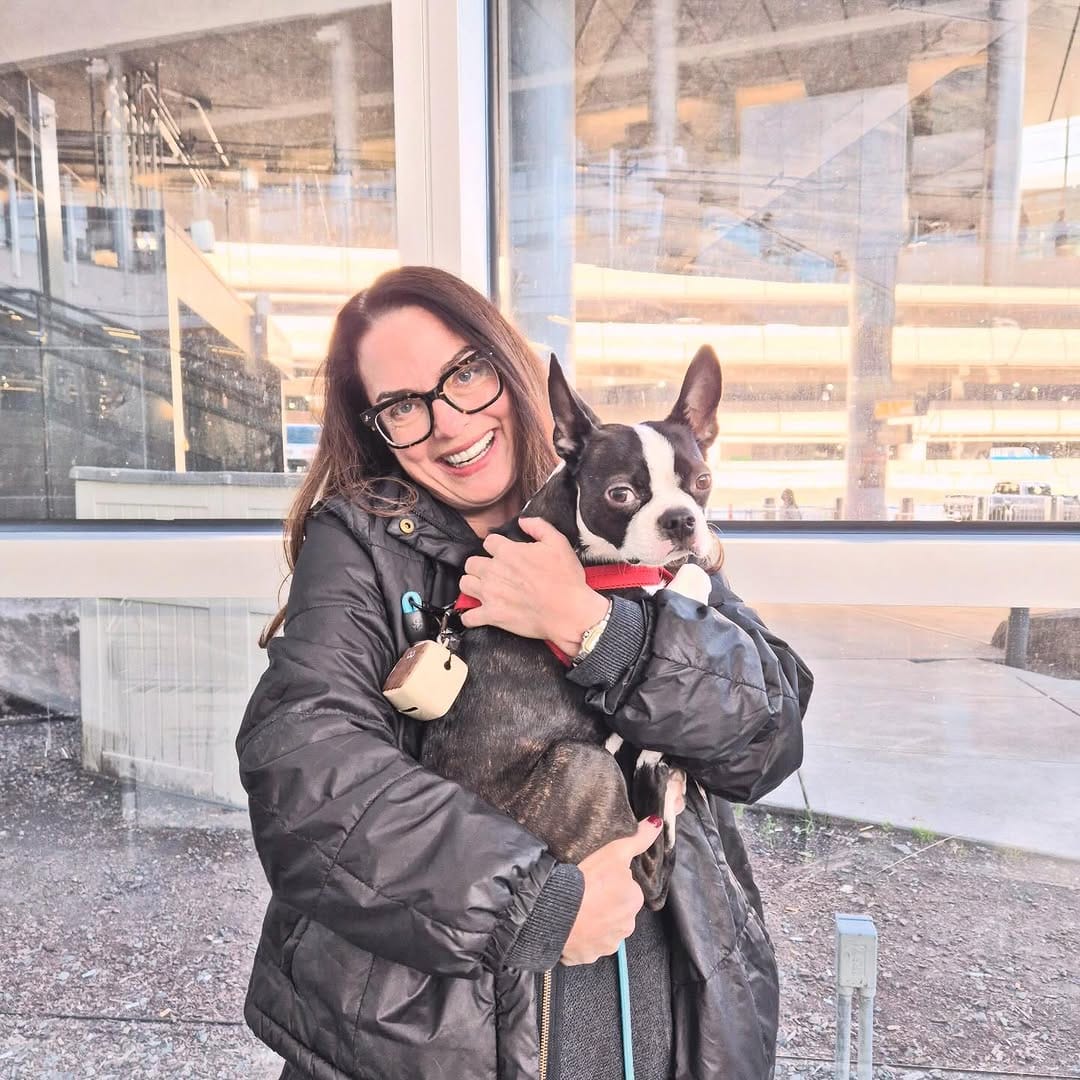 Post 5 by Boston Terrier Rescue on Instagram (carousel)