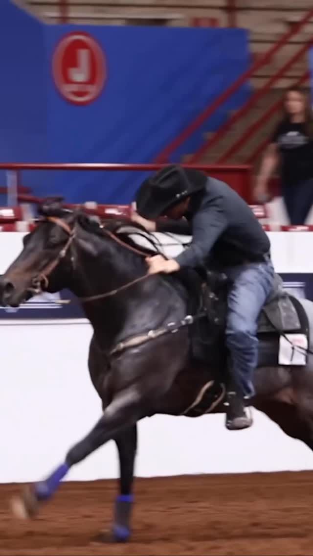 Post 8 by Royal Vista Ranch on Instagram (video)