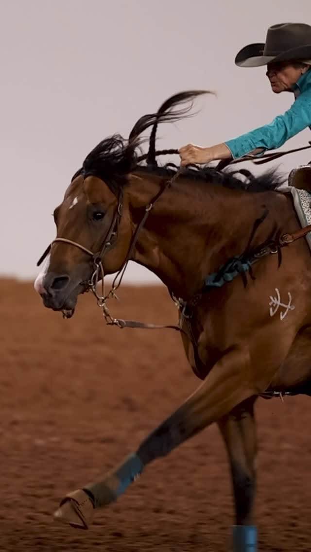 Post 3 by Royal Vista Ranch on Instagram (video)