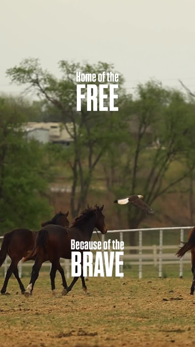 Post 7 by Royal Vista Ranch on Instagram (video)