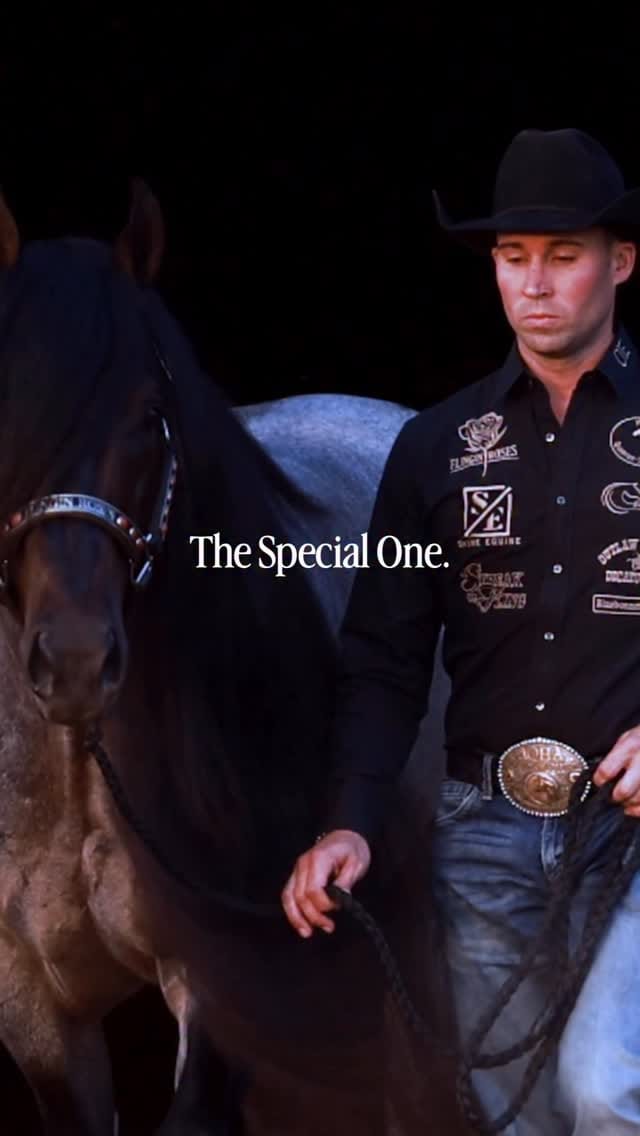 Post 2 by Royal Vista Ranch on Instagram (video)
