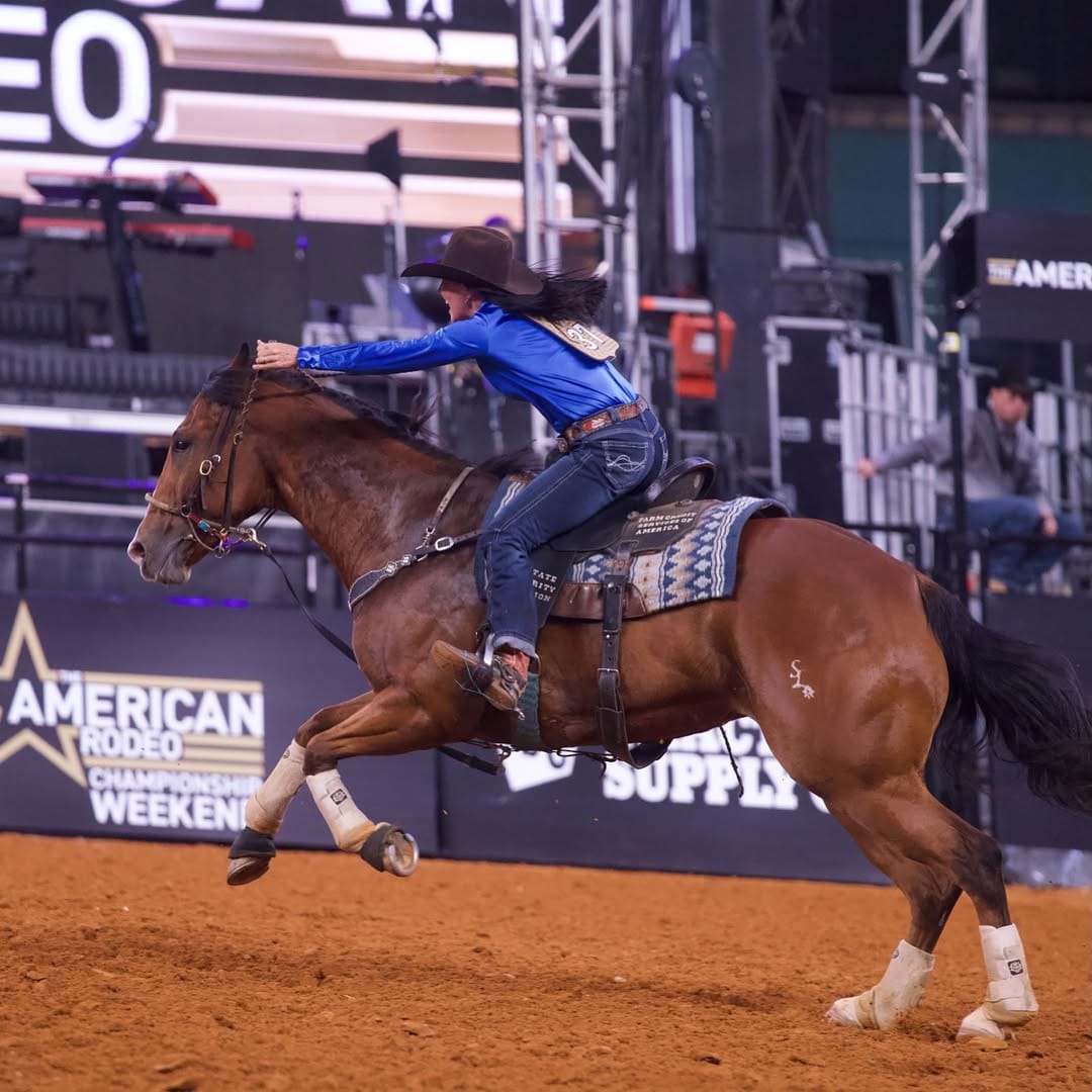 Post 9 by Royal Vista Ranch on Instagram (image)