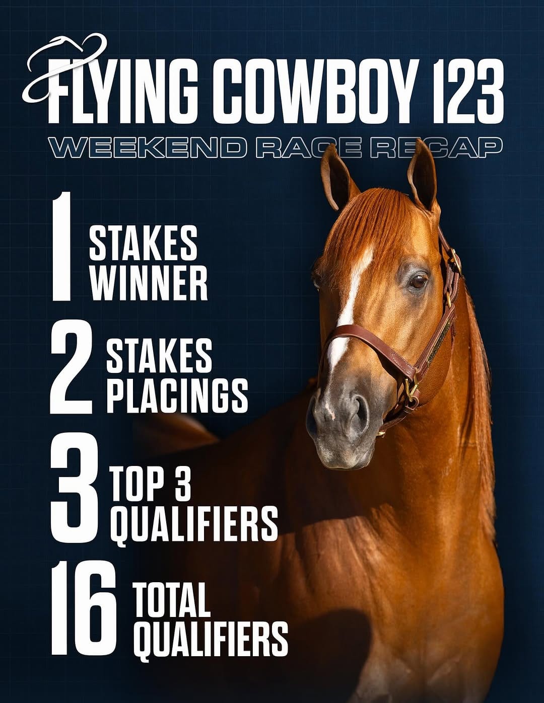 Post 5 by Royal Vista Ranch on Instagram (image)