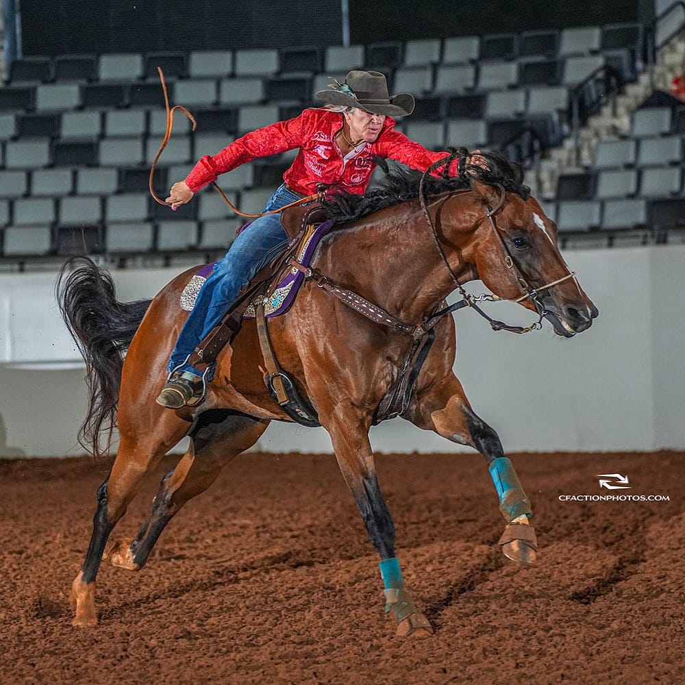 Post 6 by Royal Vista Ranch on Instagram (image)