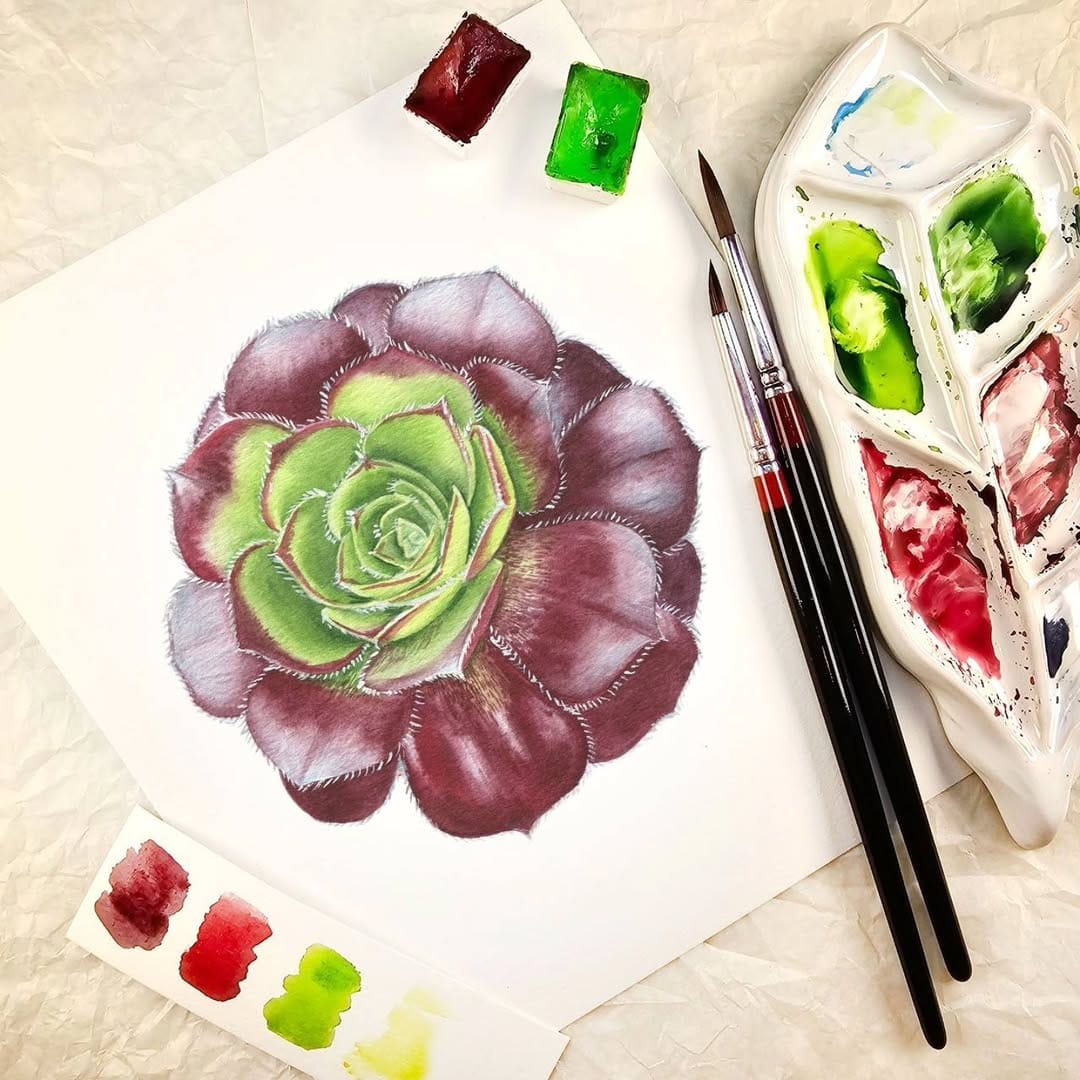 Post 10 by Alla Lanskaya🌿Botanical artist on Instagram (image)