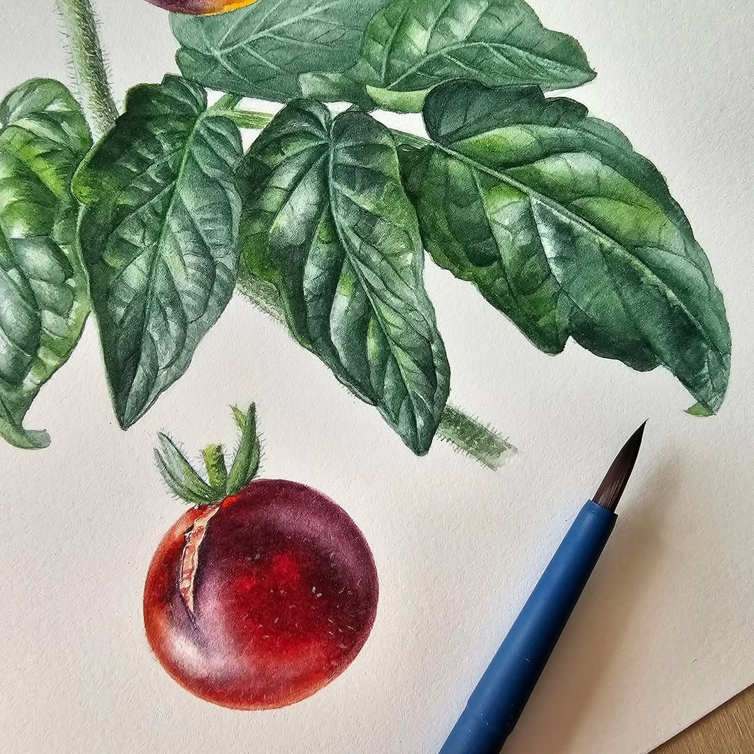 Post 2 by Alla Lanskaya🌿Botanical artist on Instagram (image)