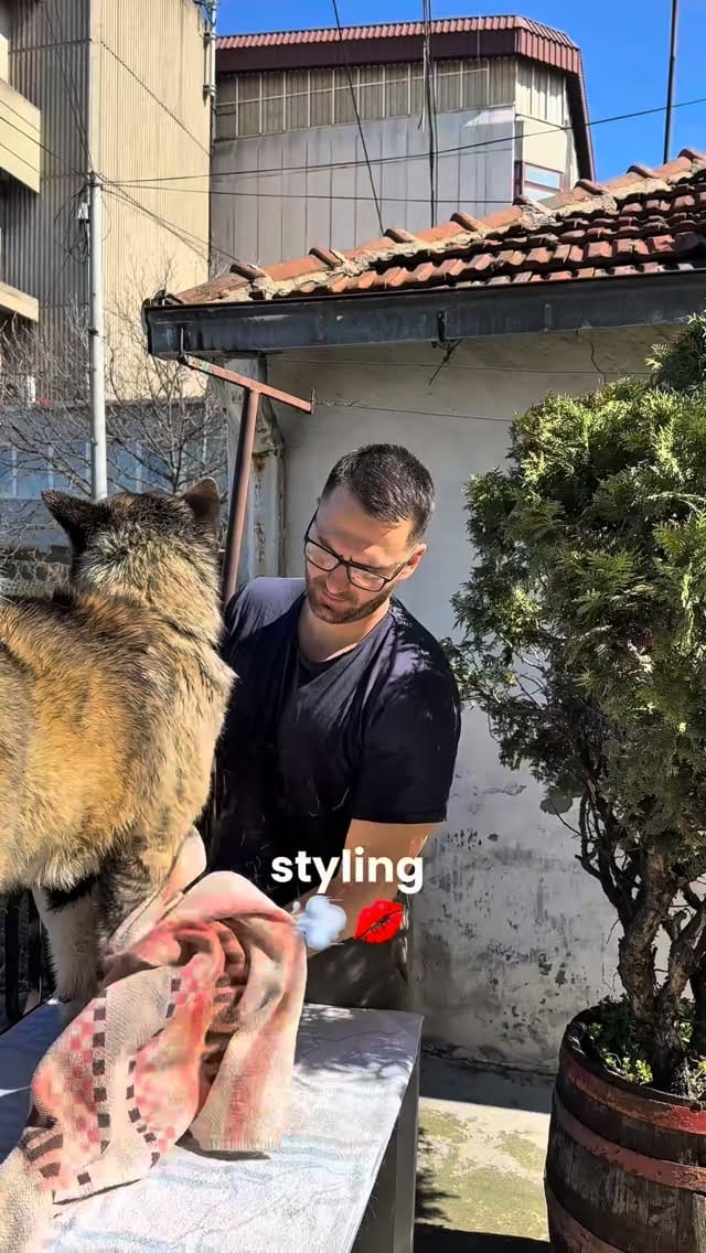 Post 7 by Nikola Stamenkovic on Instagram (video)