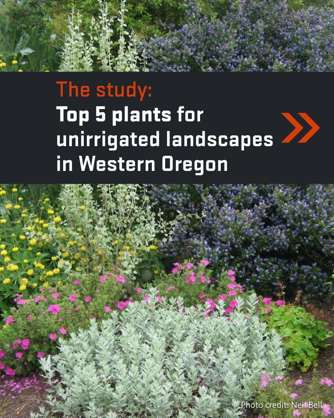 Post 9 by OSU Extension Master Gardeners on Instagram (carousel)