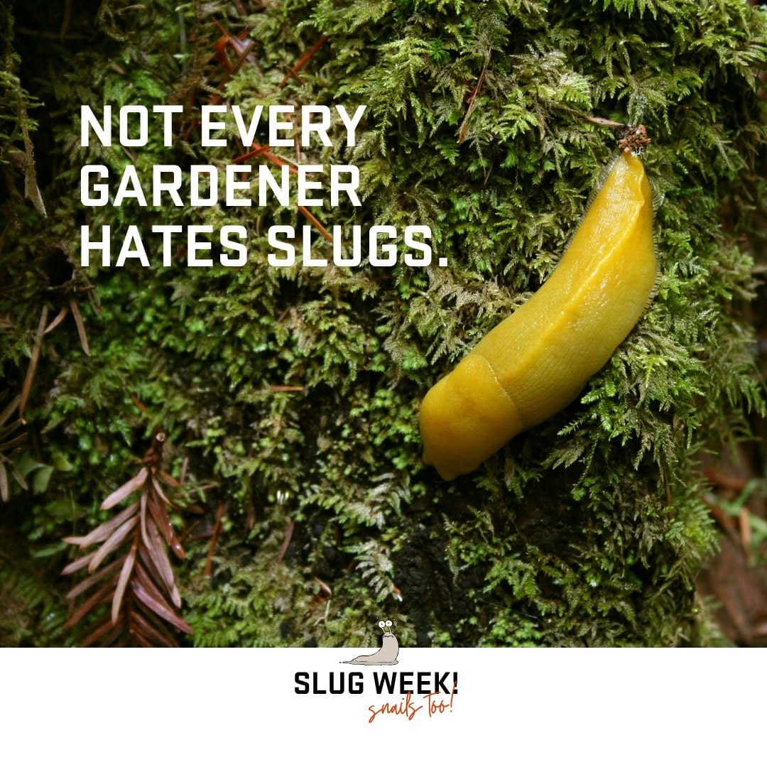 Post 5 by OSU Extension Master Gardeners on Instagram (image)