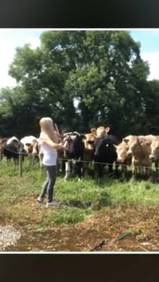 Post 9 by Máiréad Nesbitt on Instagram (video)