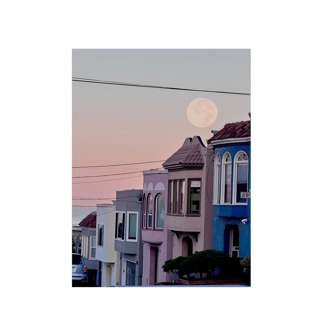 Post 7 by Golnaz  Shahmirzadi on Instagram (image)