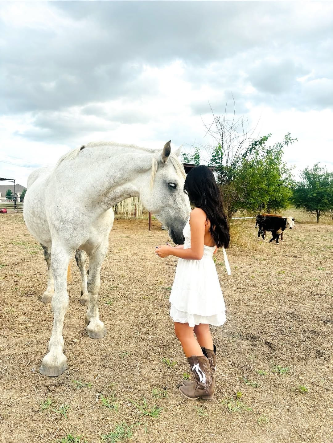 Post 9 by UNT ALPHA PHI on Instagram (carousel)