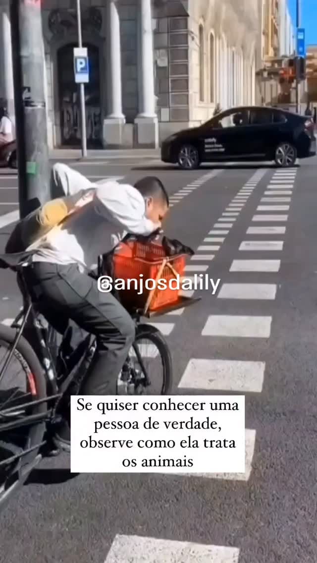 Post 4 by 𝐀𝐧𝐣𝐨𝐬 𝐝𝐚 𝐋𝐢𝐥𝐲 on Instagram (video)