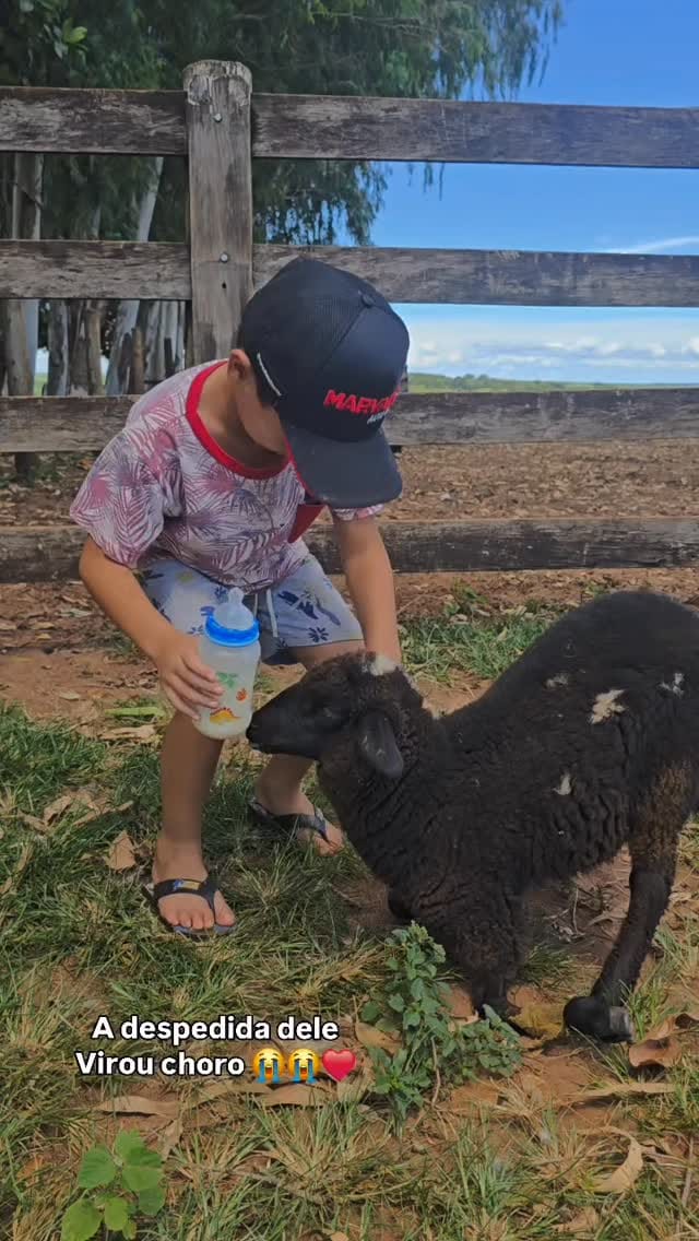 Post 3 by 𝐀𝐧𝐣𝐨𝐬 𝐝𝐚 𝐋𝐢𝐥𝐲 on Instagram (video)
