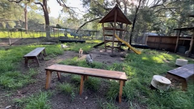 Post 6 by Fox Tales Florida on Instagram (video)