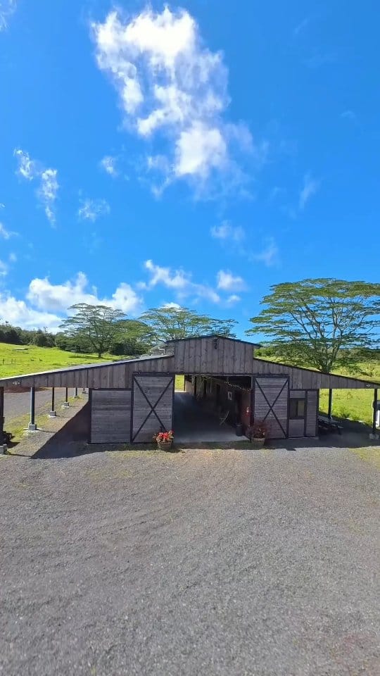 Post 8 by Michael Sato on Instagram (video)