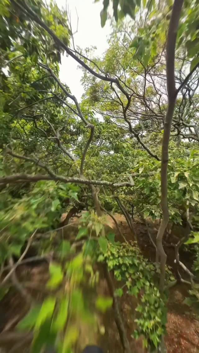 Post 7 by Michael Sato on Instagram (video)