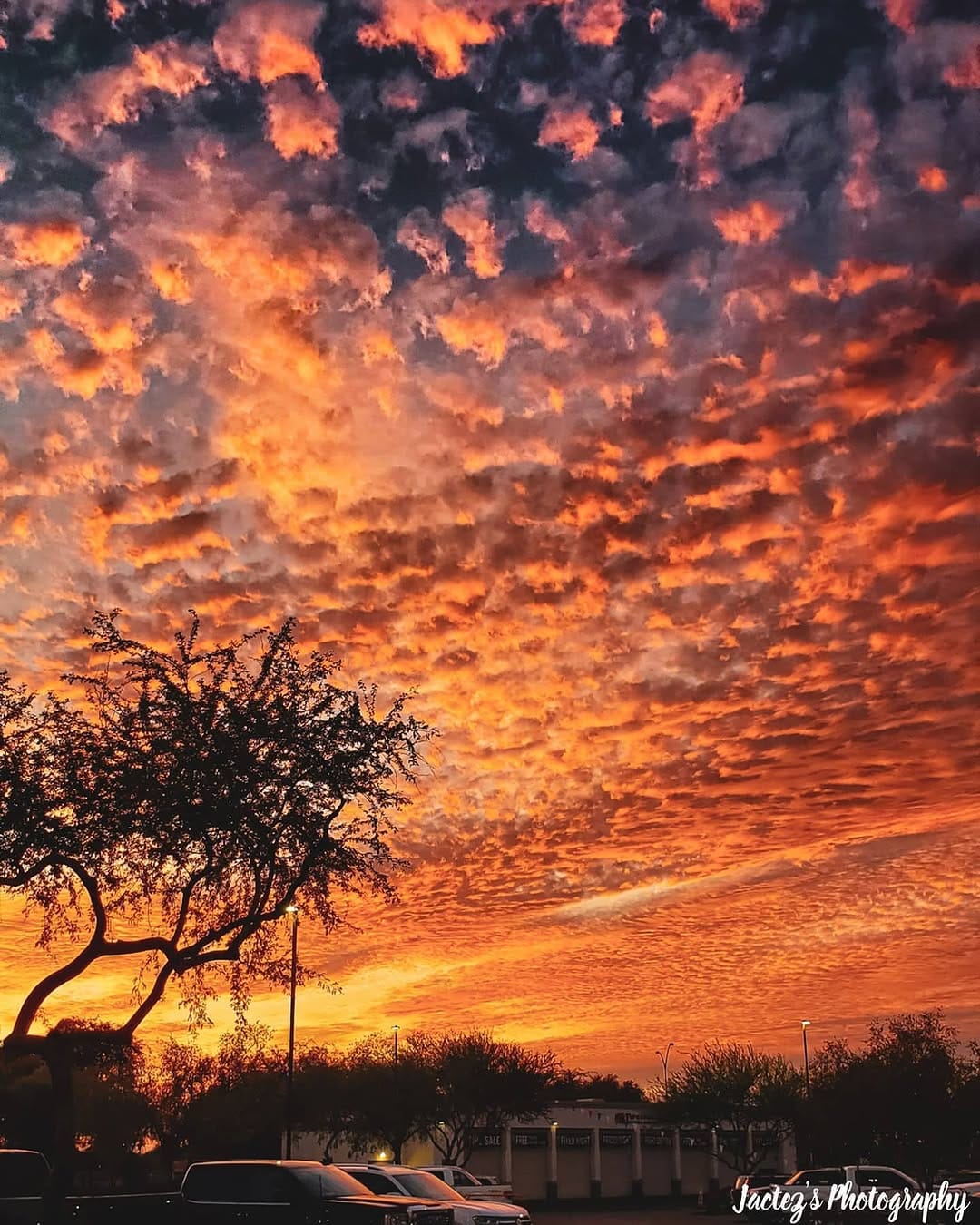 Post 10 by Jacob on Instagram (image)