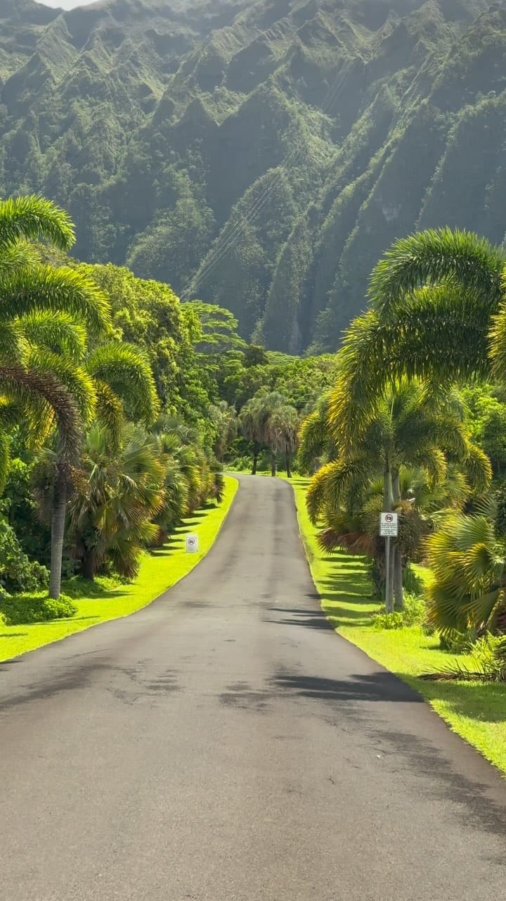 Post 8 by Bec Munro on Instagram (video)