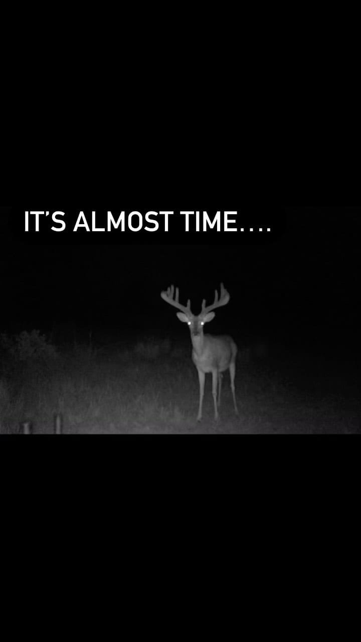 Post 10 by Burnt Oak Ranch on Instagram (video)