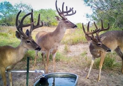 Post 9 by Burnt Oak Ranch on Instagram (image)