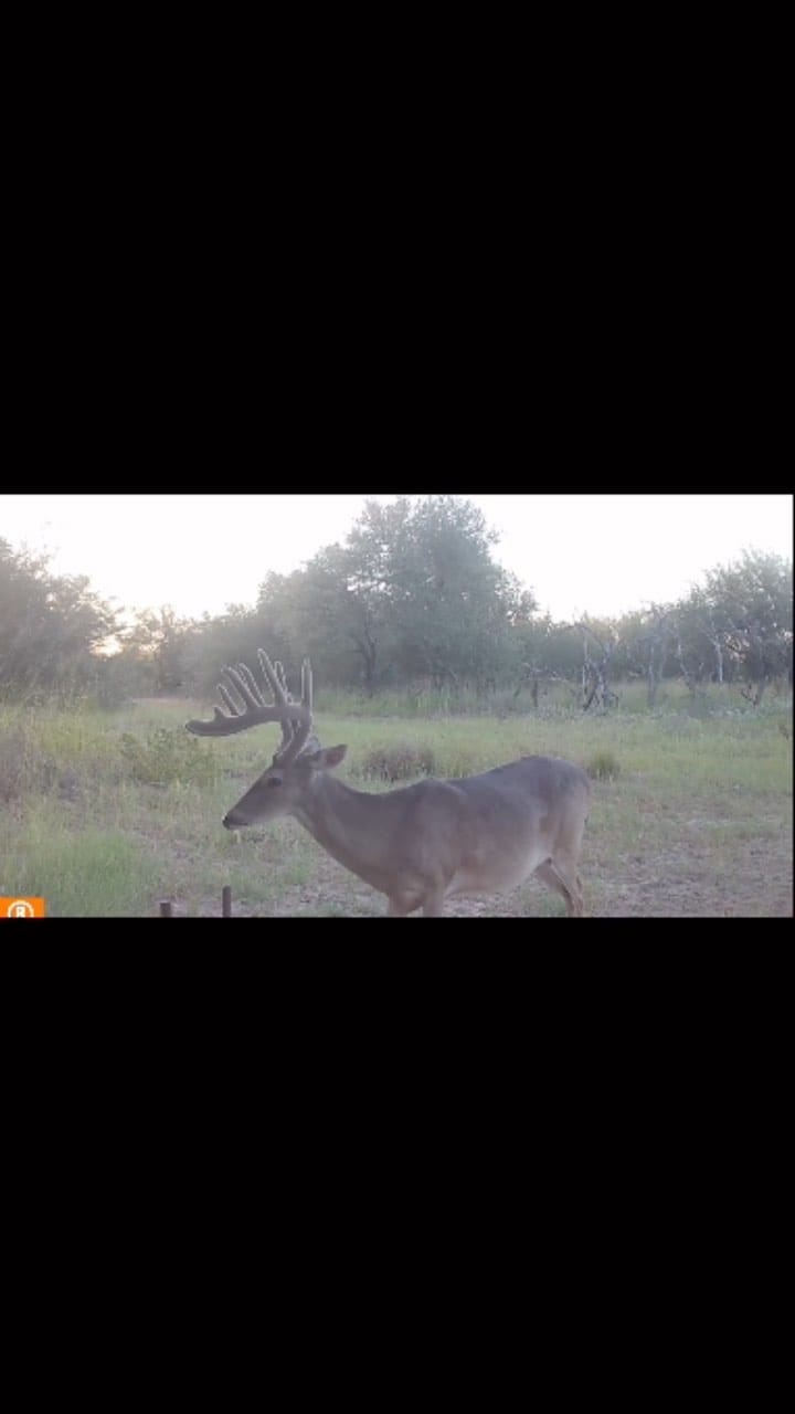 Post 3 by Burnt Oak Ranch on Instagram (video)