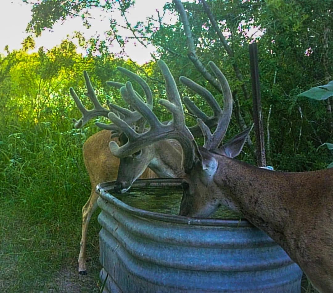 Post 5 by Burnt Oak Ranch on Instagram (image)