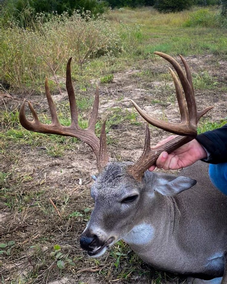 Post 7 by Burnt Oak Ranch on Instagram (image)