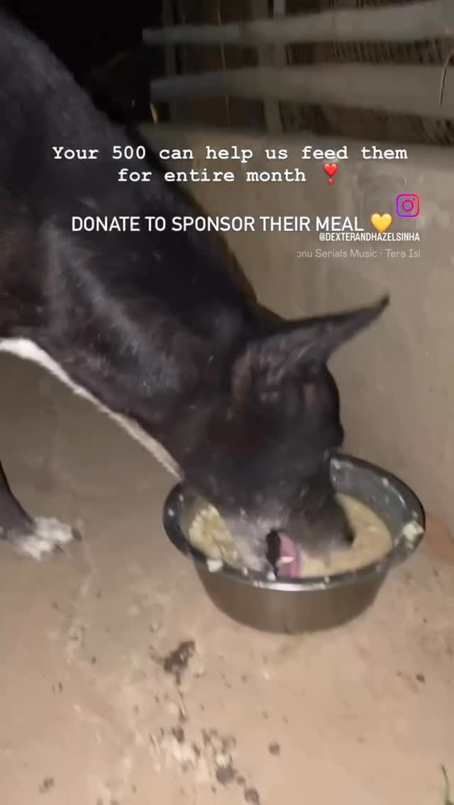 Post 6 by Dexter and Hazel on Instagram (video)