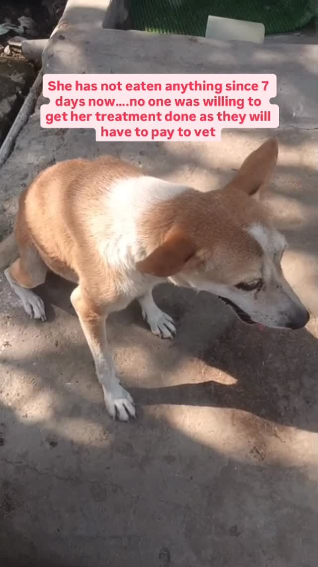 Post 3 by Dexter and Hazel on Instagram (video)