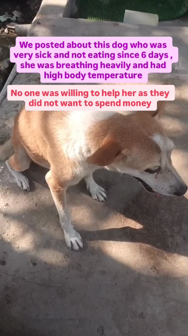 Post 2 by Dexter and Hazel on Instagram (video)