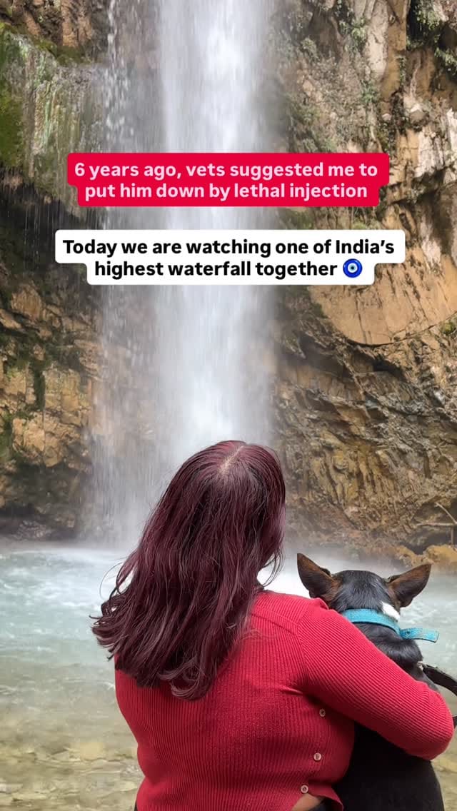 Post 5 by Dexter and Hazel on Instagram (video)