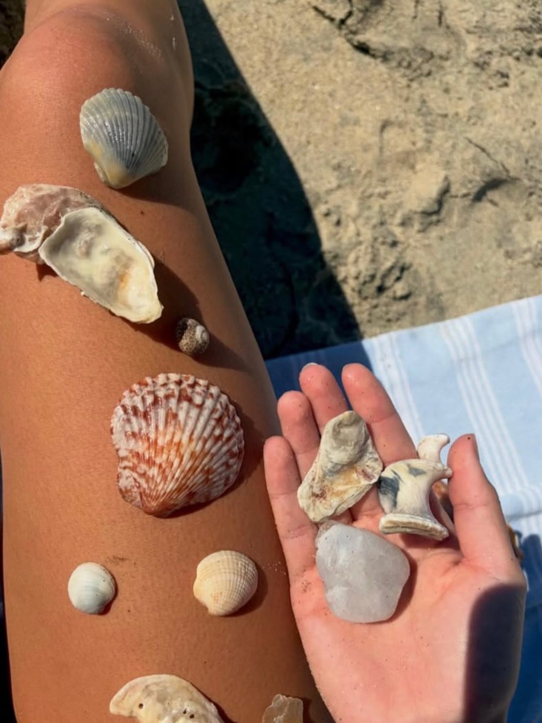 Post 8 by SDSU DELTA GAMMA on Instagram (image)