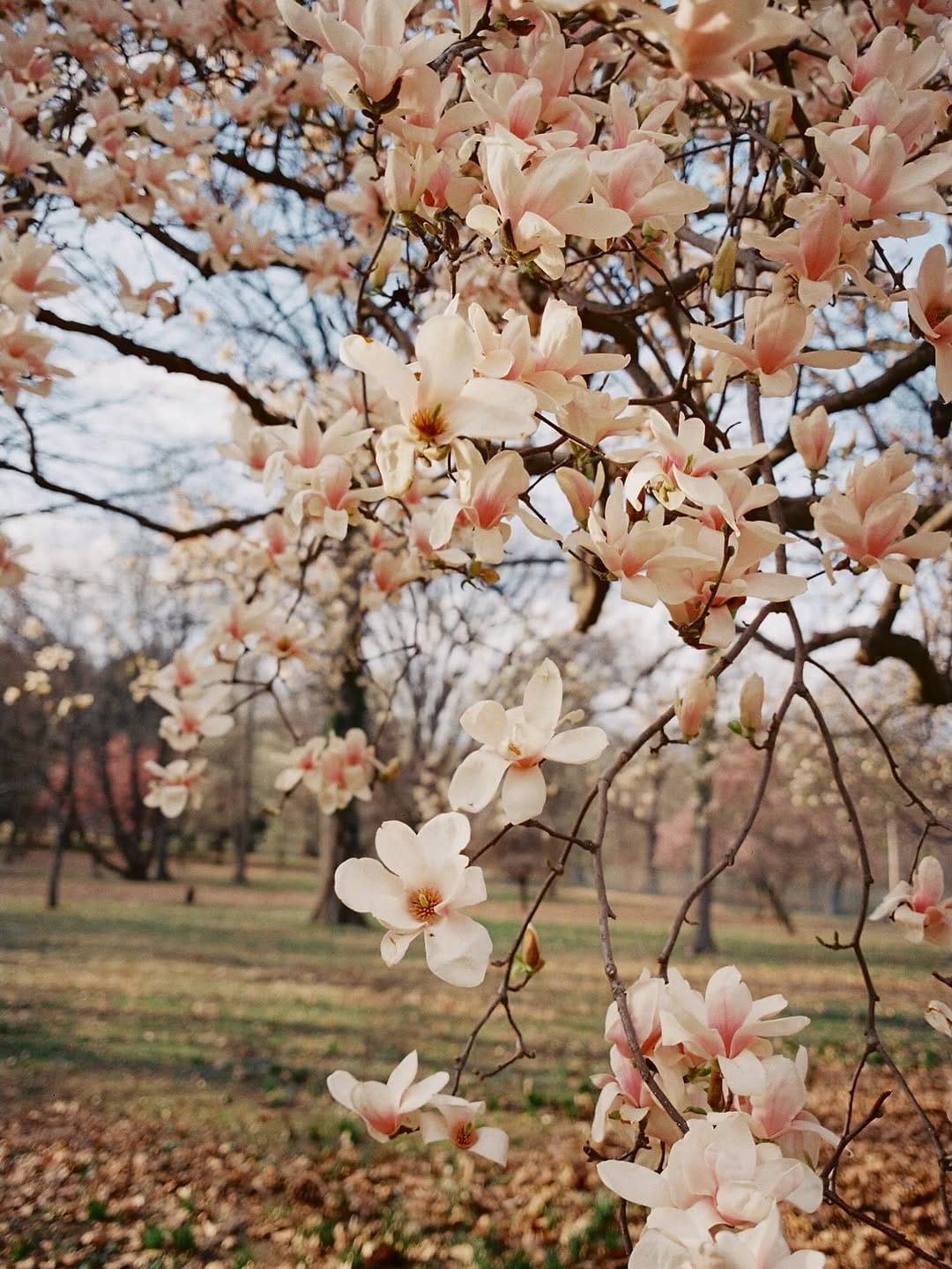 Post 4 by Kelly Giarrocco | Film Wedding Photographer on Instagram (carousel)