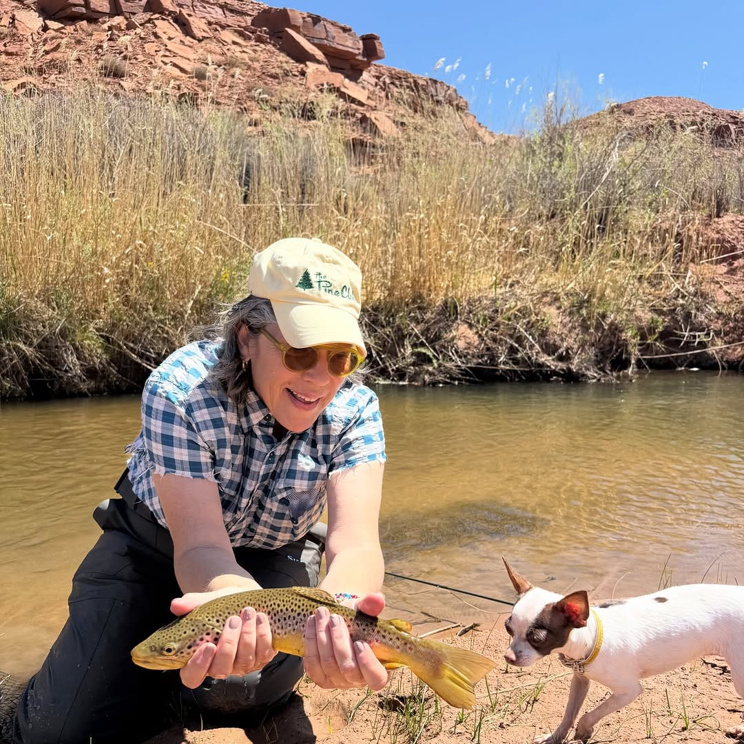Post 5 by Utah Fly Fishing Guide Service on Instagram (carousel)