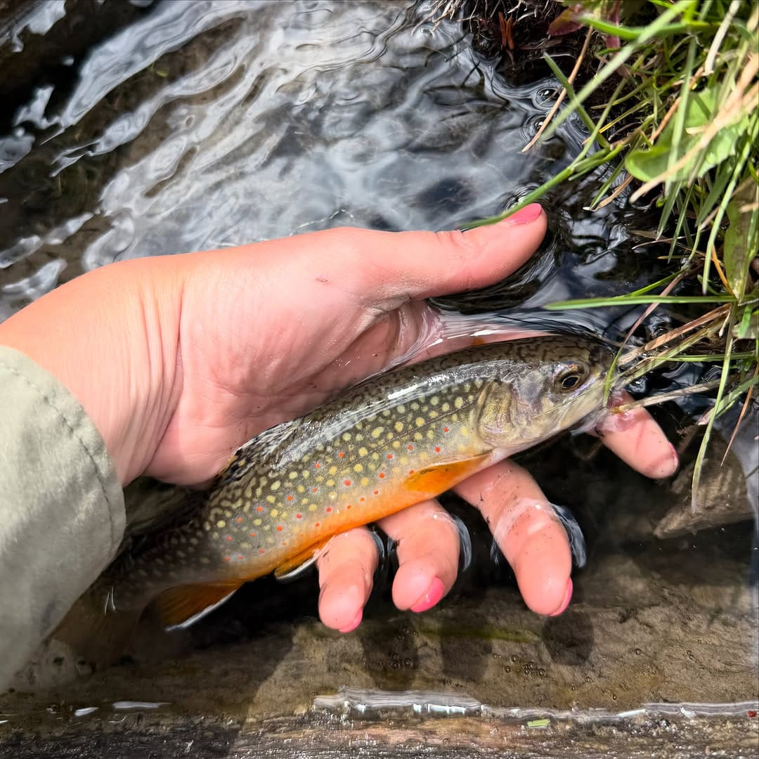 Post 4 by Utah Fly Fishing Guide Service on Instagram (carousel)