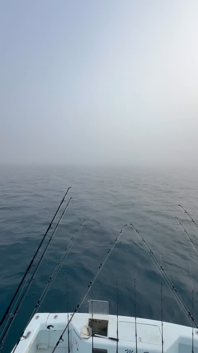 Post 1 by Miss Britt Sportfishing Charters on Instagram (video)