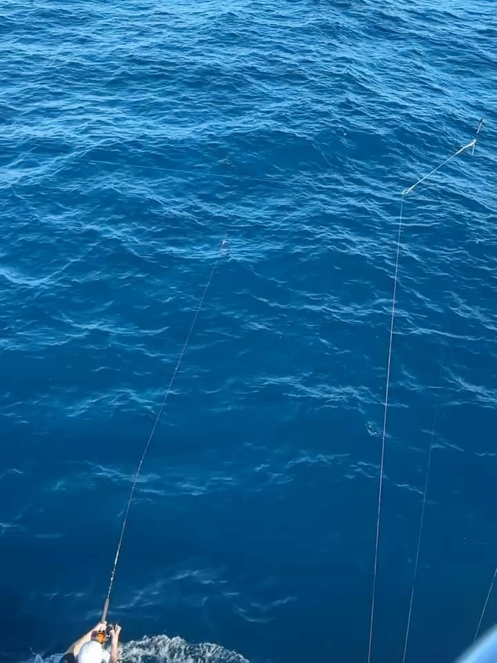Post 2 by Miss Britt Sportfishing Charters on Instagram (carousel)